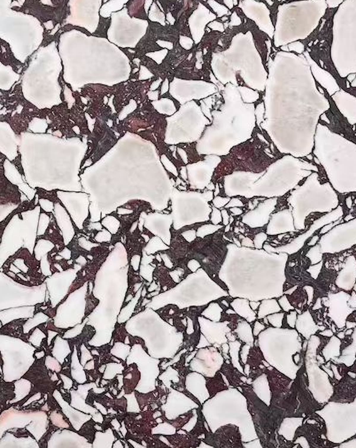 Calacatta Viola Marble